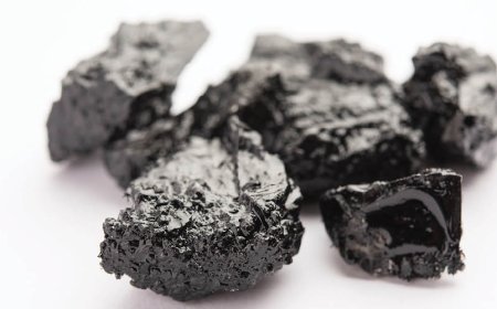 Ist Shilajit gut für die Leber?