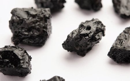 Ist Shilajit gut für die Gesundheit der Haut?