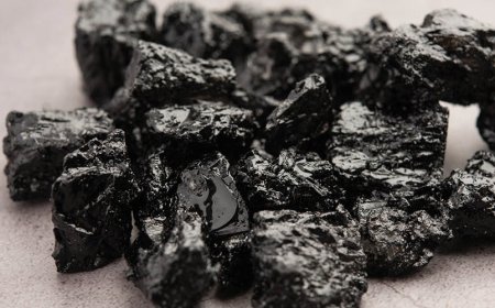 Ist Shilajit in freier Wildbahn gefährdet?