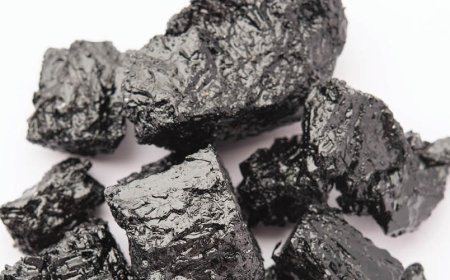 Ist Shilajit entzündungshemmend?