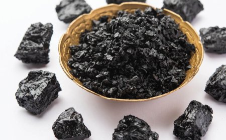 Ist Shilajit aus guten Quellen ein guter Wert?