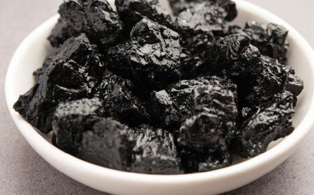 Come veniva utilizzato lo Shilajit a livello medico?