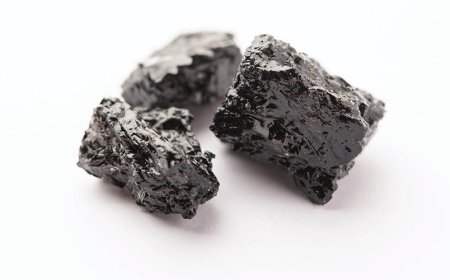 Come si forma lo Shilajit?