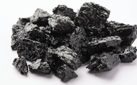 Come si colloca il prezzo dello Shilajit rispetto agli integratori?