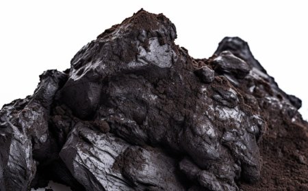 Was sind die Vorteile von Shilajit-Tee?