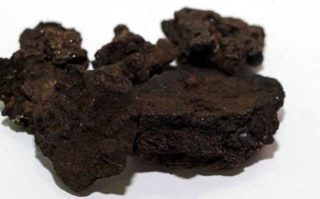 Was sind die aktiven Bestandteile von Shilajit?