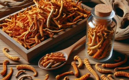 Kann Cordyceps die Nieren schützen?
