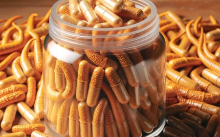 Quelle est la forme de cordyceps la plus efficace pour un usage médical ?