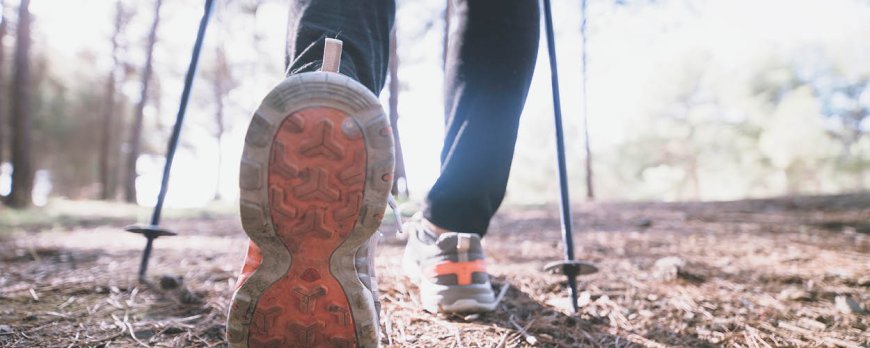 How much weight can you lose if you walk a certain distance a day?