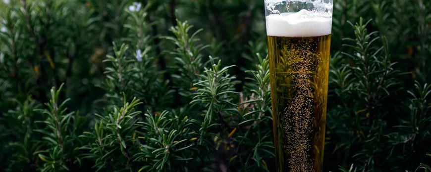 Alcohol Consumption Guidelines for Moderation