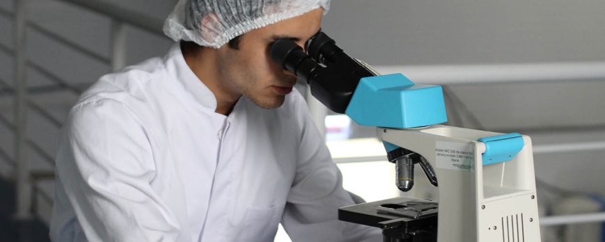 Research on Alcohol-Related Mortality