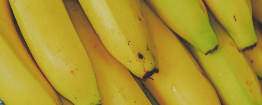 Ist eine Banane pro Tag gut für Sie?