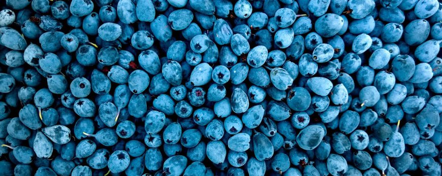 Quali sono i 12 alimenti che dovrei mangiare ogni giorno?
