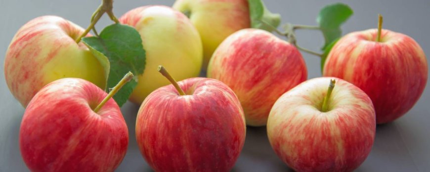 Tips for Enjoying Apples in Moderation