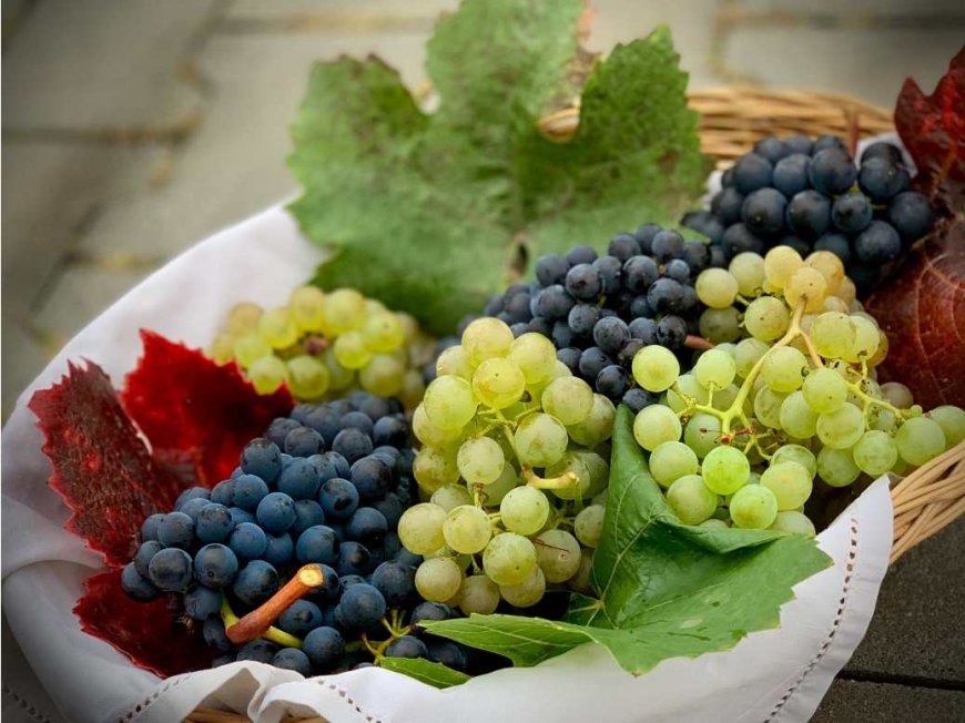 Les raisins sont-ils bons pour la santé ?