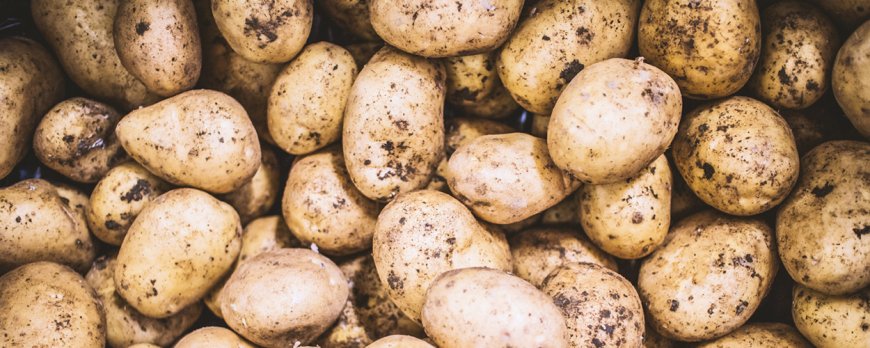 Che cos'è la dieta delle patate di 30 giorni?
