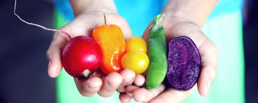 Plant-Based Diets and Balanced Nutrition