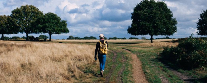The Health Benefits of Walking