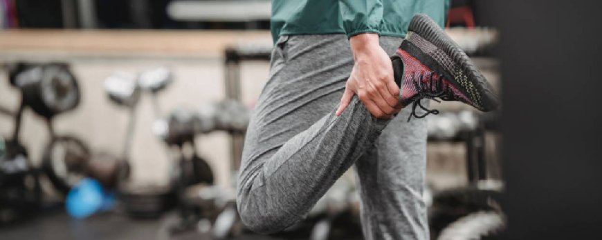 Compound Movements for Efficient Muscle Recruitment