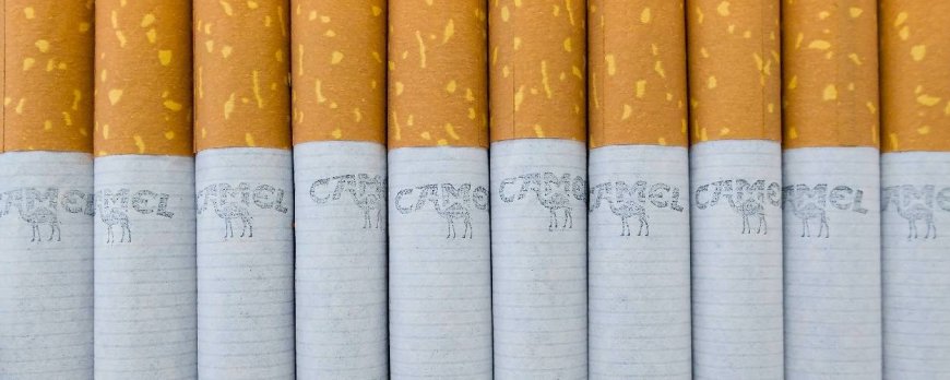 Hoe beïnvloedt tabak de hersenen?