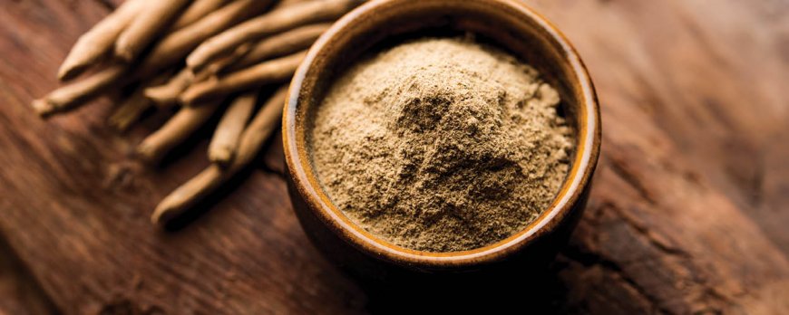 Wie viele Tage lang sollten Sie Ashwagandha einnehmen?