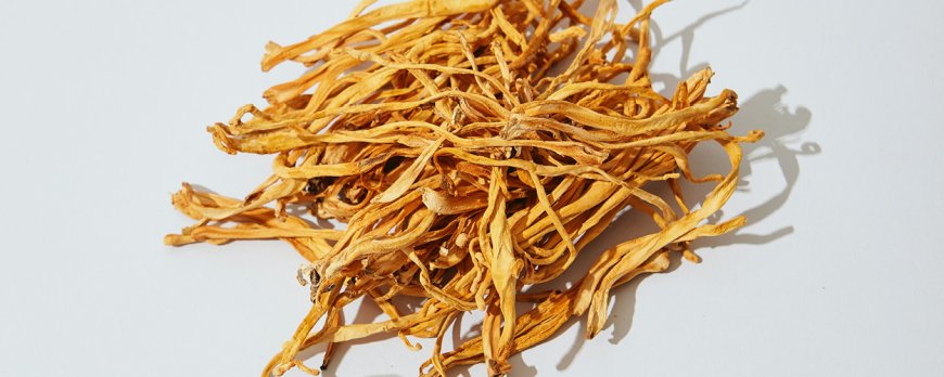 Are there signs of cordyceps overdose to watch for?