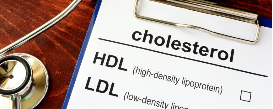 Senkt Kurkuma den Cholesterinspiegel?