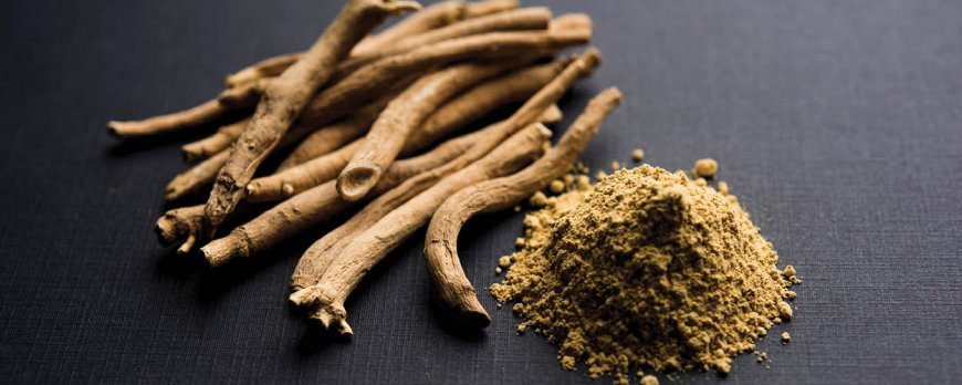 L'Ashwagandha fa durare di più gli uomini?