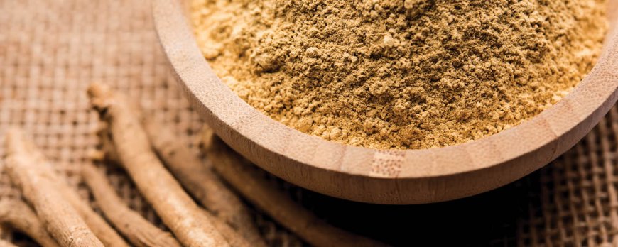 Quale Ashwagandha è il migliore?
