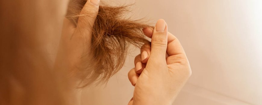 Quelle sera la longueur des cheveux dans 6 mois ?