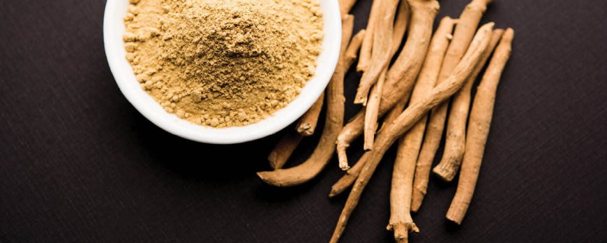 L'ashwagandha augmente-t-elle les œstrogènes ?