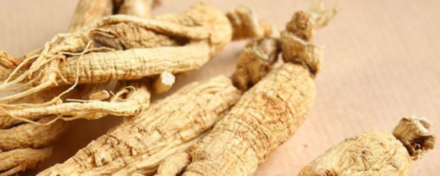 Le cordyceps peut-il prévenir les lésions neuronales ?