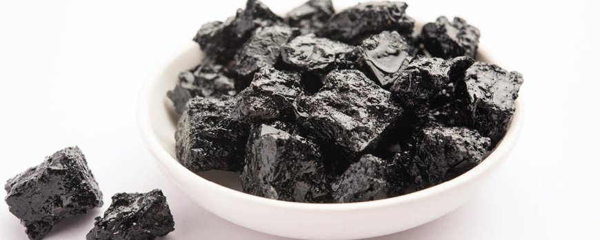 What types of Shilajit supplements are available?