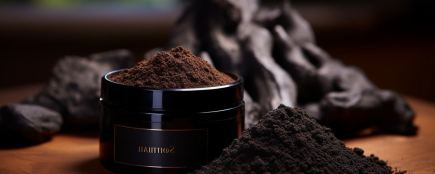Le Shilajit vaut-il son prix élevé ?