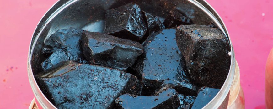 Shilajit è sicuro per l'uso a lungo termine?