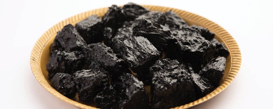 Ist Shilajit-Harz besser als Pulver?