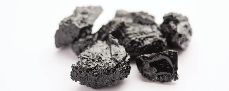 Is Shilajit good for the liver?