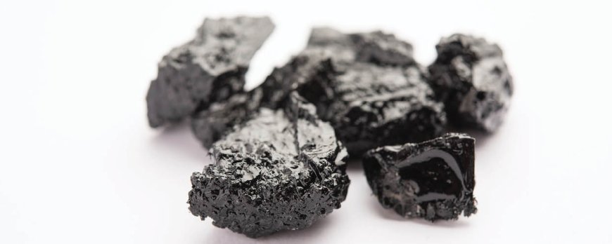 Ist Shilajit gut für die Leber?