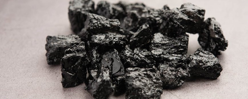 Ist Shilajit in freier Wildbahn gefährdet?