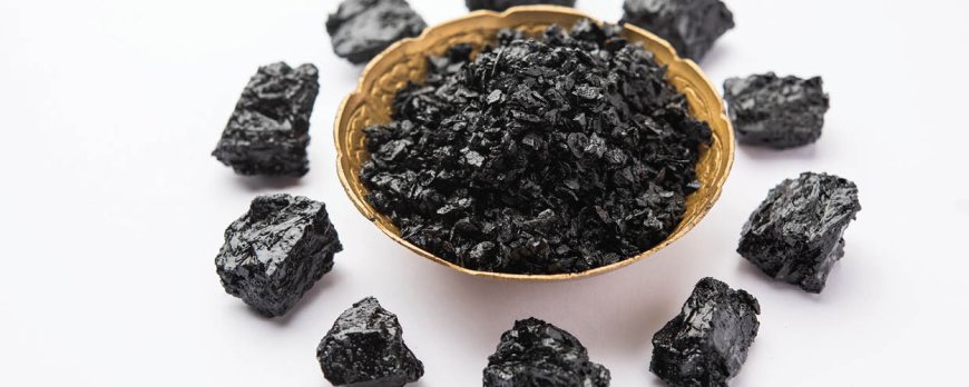 Le Shilajit d'origine correcte est-il un bon rapport qualité-prix ?