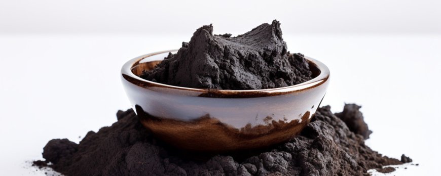 Was sind die gesundheitlichen Vorteile von Shilajit?