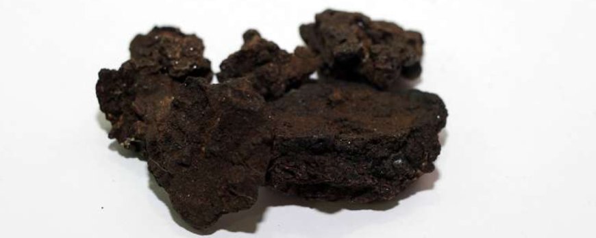 Quali sono i composti attivi dello Shilajit?