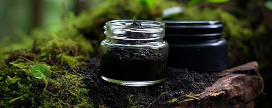 What are signs of a Shilajit overdose?