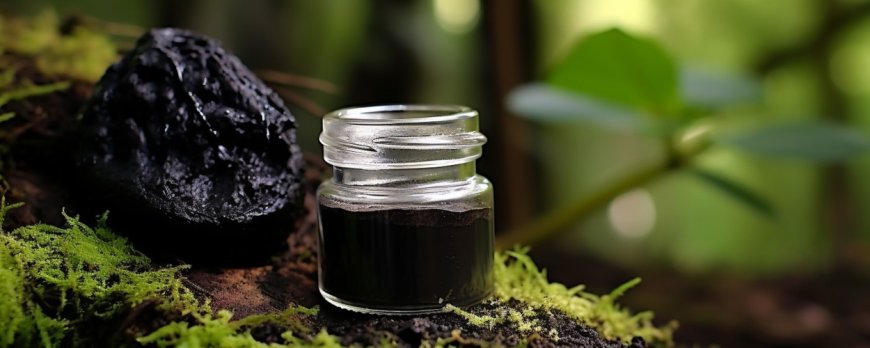 Sollten Sie Shilajit-Kapseln oder Flüssigkeit einnehmen?