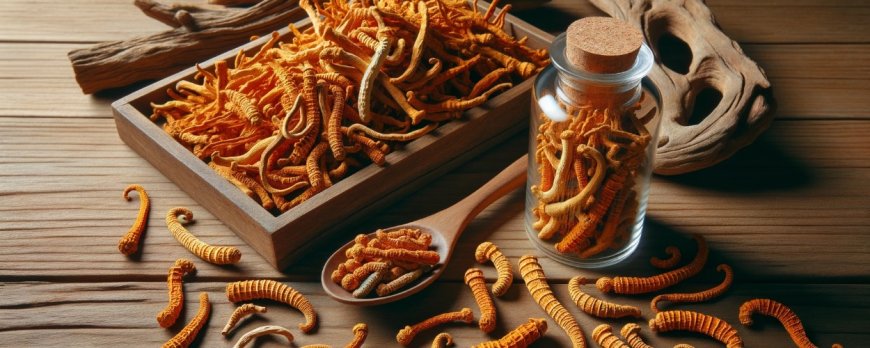 Kann Cordyceps die Nieren schützen?