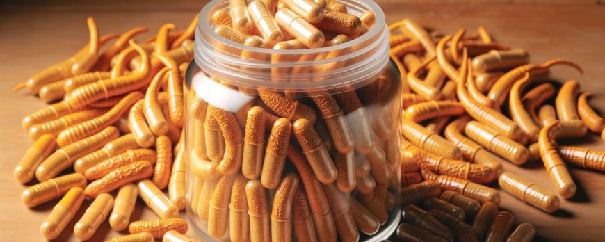 Welche Form von Cordyceps eignet sich am besten für die medizinische Anwendung?